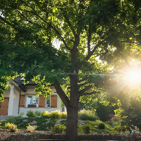 Modrzewiowe Zacisze Vakantiehuis *